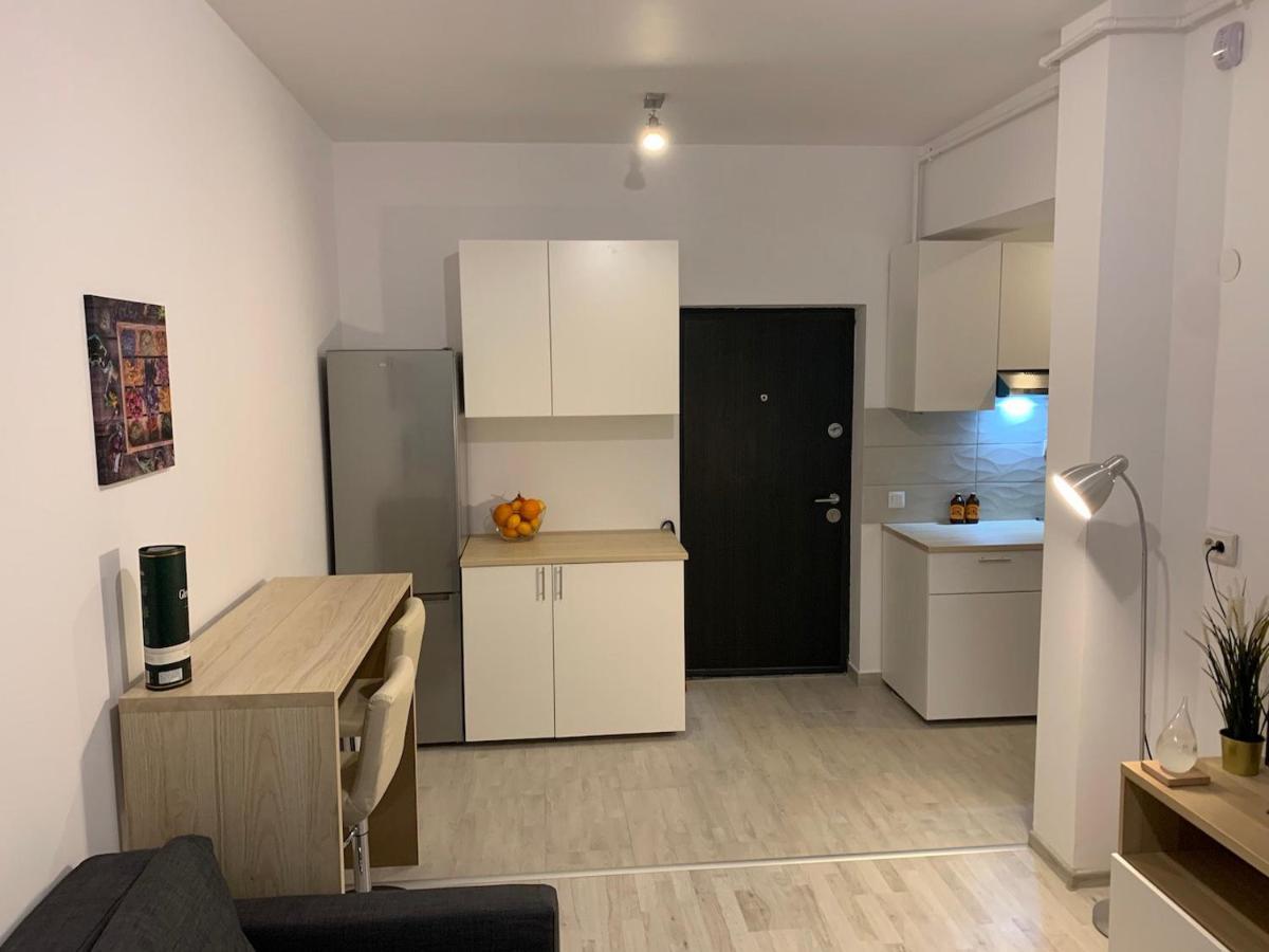 Ray Luxury Apartment Close To Presidential Palace 布加勒斯特 外观 照片