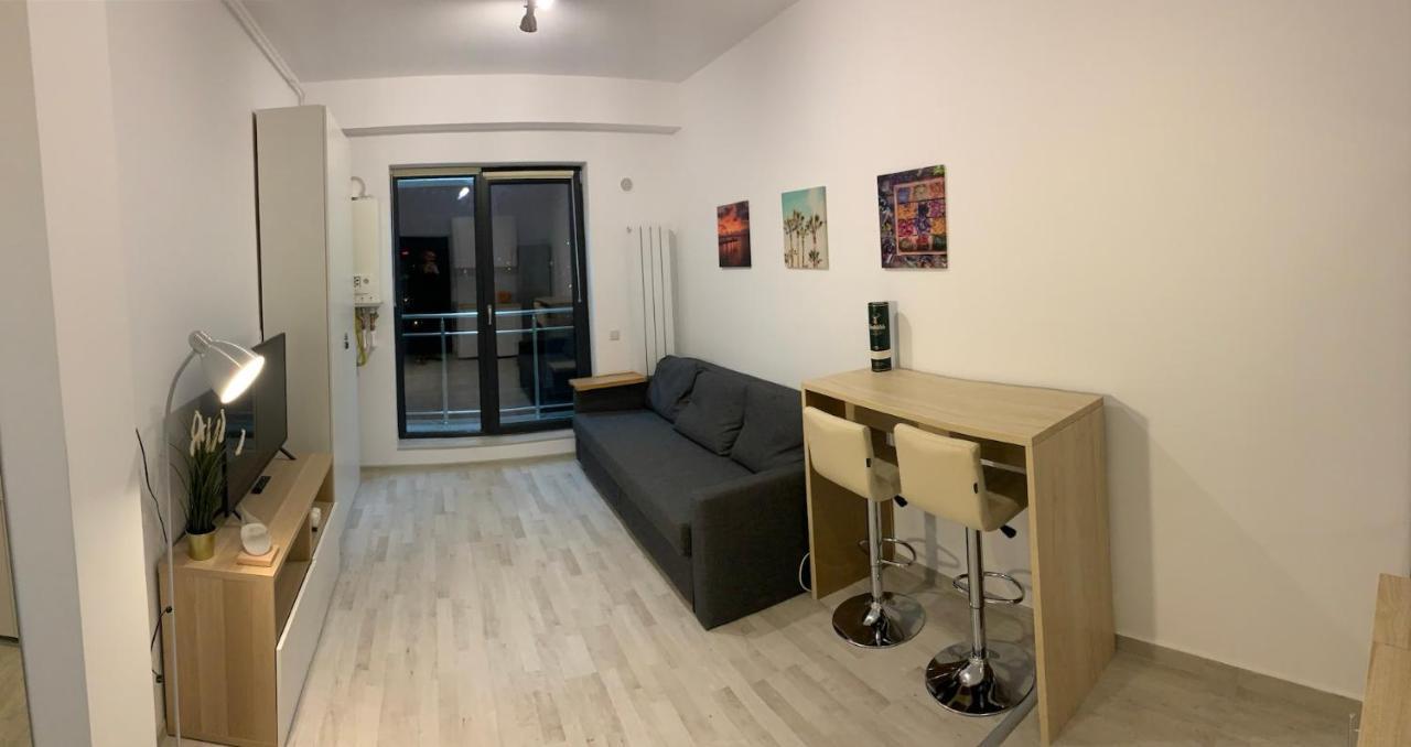 Ray Luxury Apartment Close To Presidential Palace 布加勒斯特 外观 照片